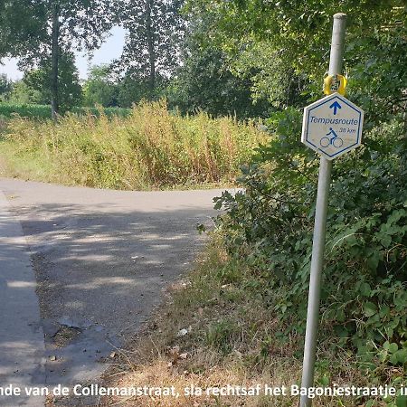 Eden Villa Sint-Pauwels Exteriör bild