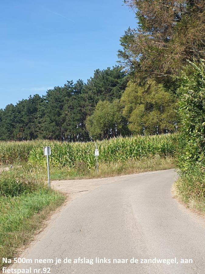 Eden Villa Sint-Pauwels Exteriör bild