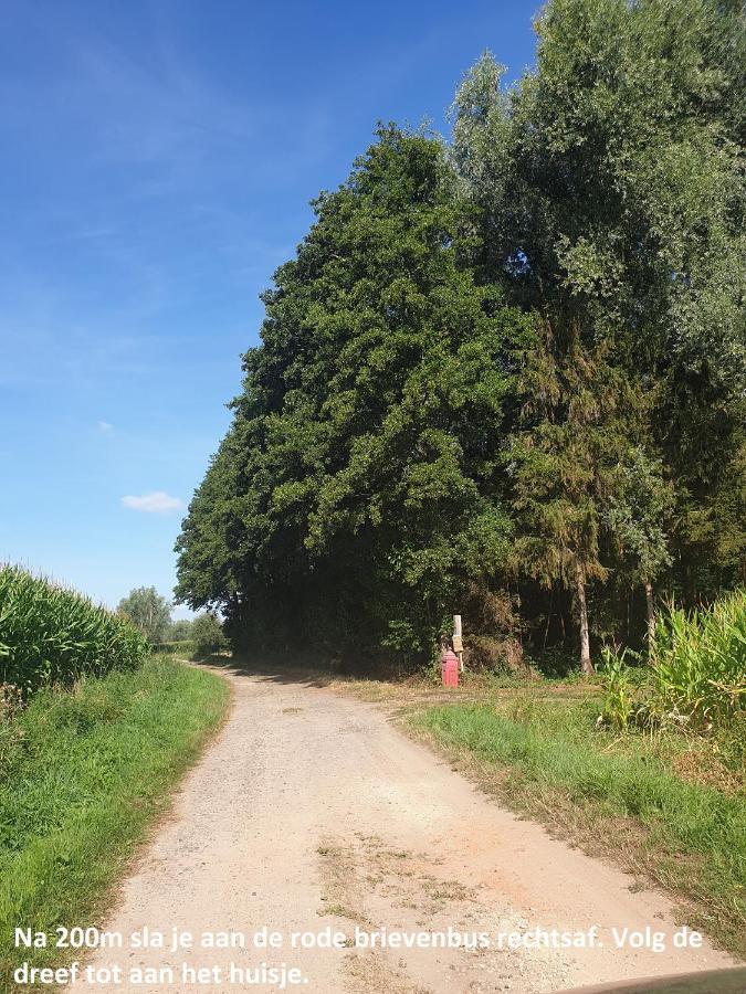 Eden Villa Sint-Pauwels Exteriör bild